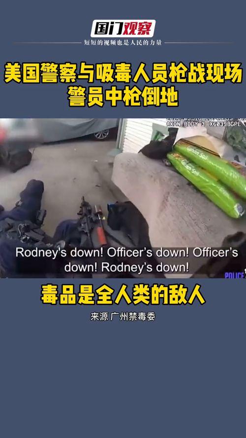 美国毒品爆料视频最新,最新视频揭露惊人内幕